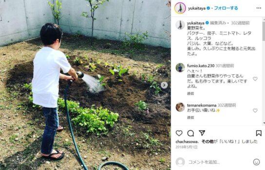 板谷由夏の葉山の自宅の庭で息子が家庭菜園に水やりをしている